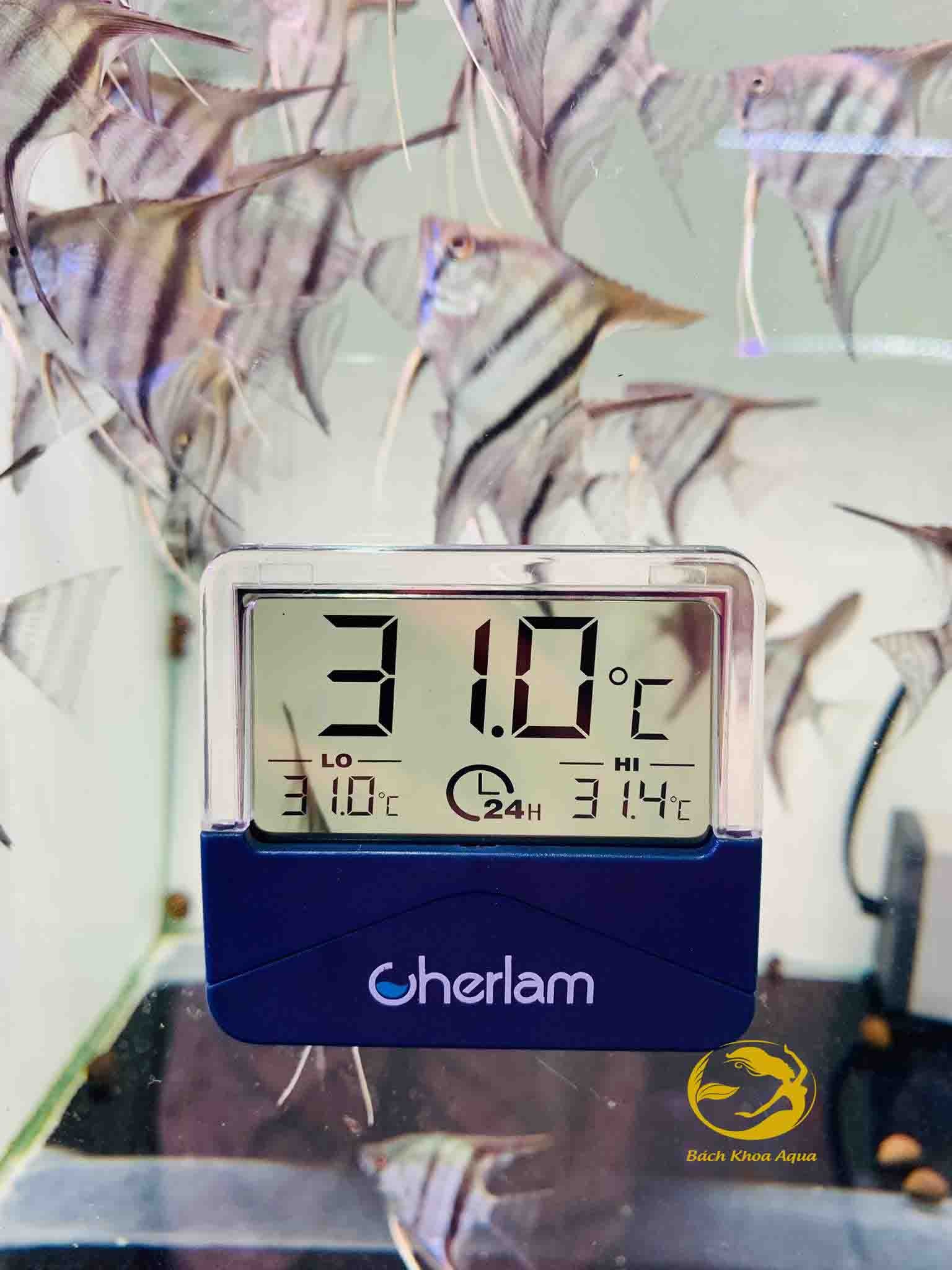 Nhiệt kế điện tử Cherlam CWD-002 / CWD-003